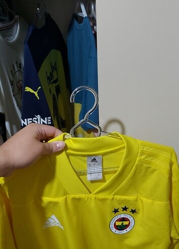 Fenerbahce Forma