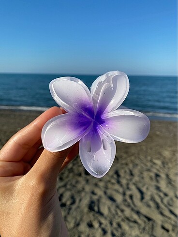 Mor Aloha Toka