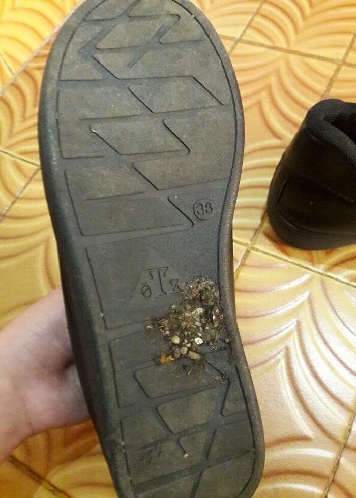 Kadın ayakkabı  - Görsel 5