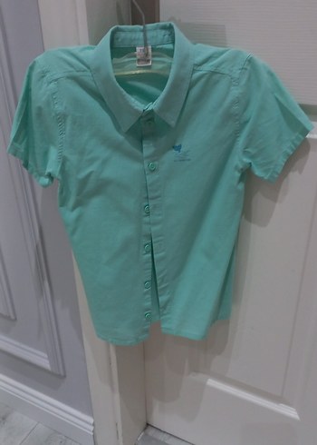 Erkek Çocuk Turkuaz Kısa Kollu Gömlek - Görsel 5