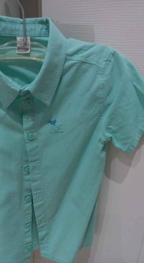 Erkek Çocuk Turkuaz Kısa Kollu Gömlek - Görsel 2