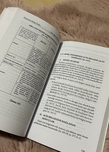 İcra ve İflas Hukuku kitap - Görsel 2