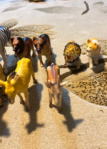 Çeşitli Hayvan Figürleri Seti - Görsel 5