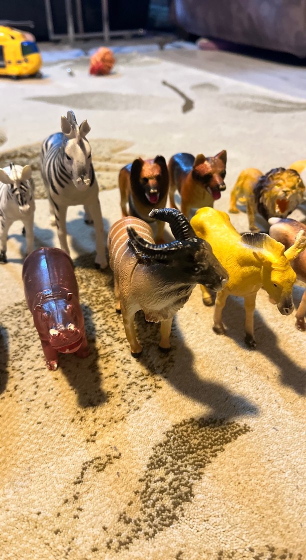 Çeşitli Hayvan Figürleri Seti - Görsel 4