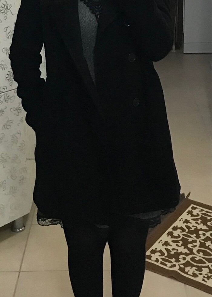 Siyah kaban - Görsel 3