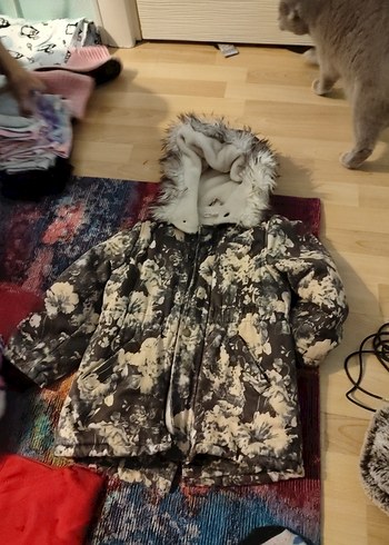 Koton gri Kapüşonlu Peluş Mont