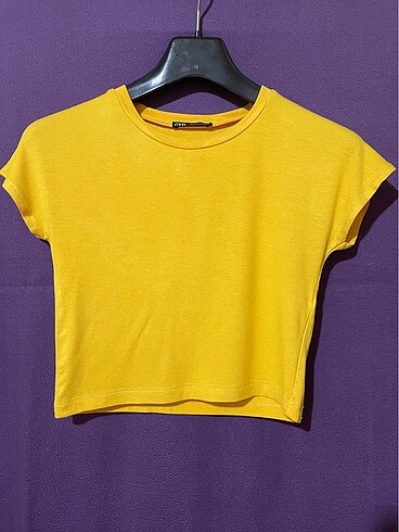 Zara Crop