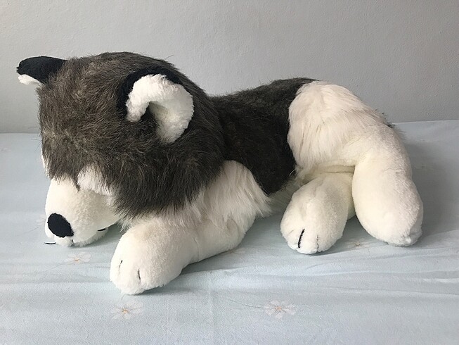 Peluş sibirya kurdu