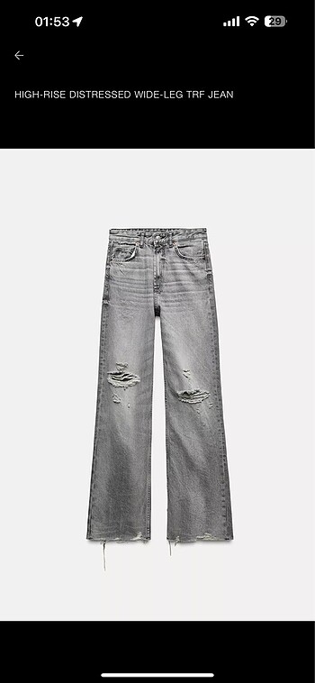 Zara jean