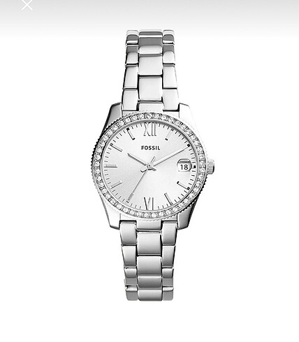 Fossil gümüş saat