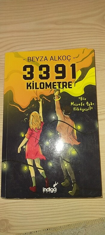 3391 Kilometre