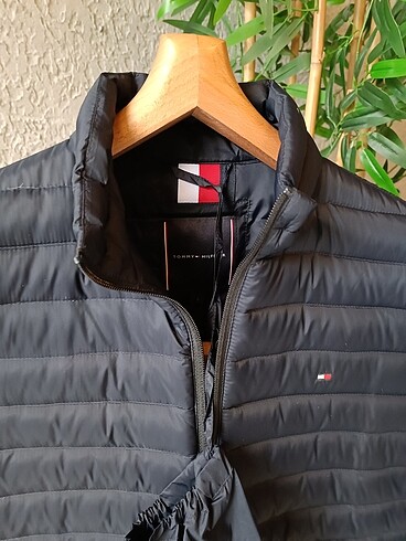 s Beden lacivert Renk Tommy Orj mont