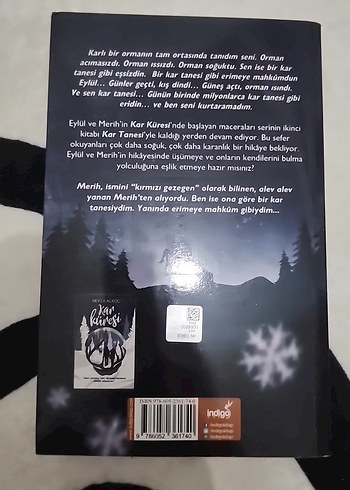 Kar Tanesi - Beyza Alkoç