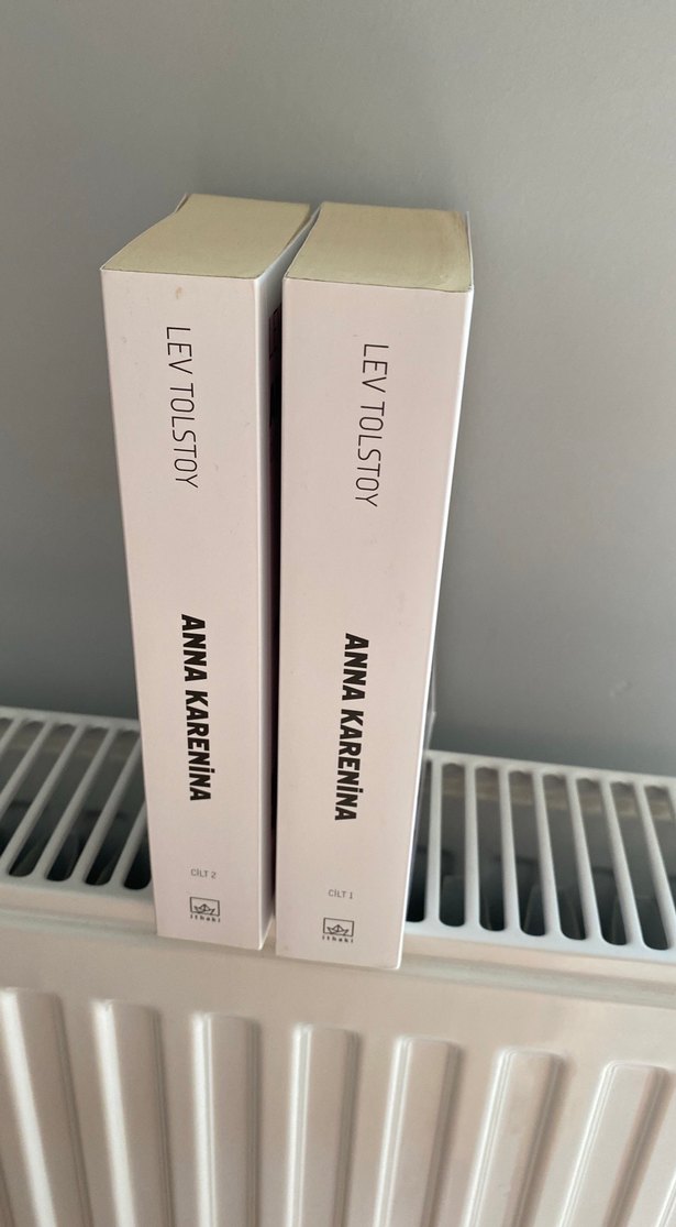 Anna Karenina Roman Seti - Lev Tolstoy - Görsel 2