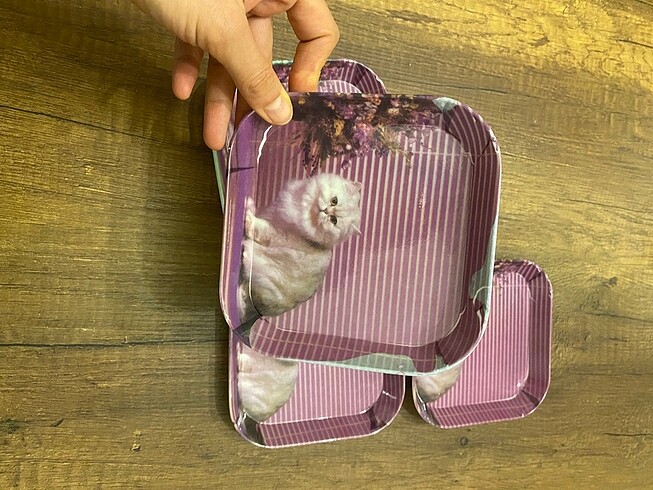 Diğer Kedi Baskılı Melamin tabak