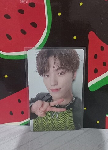 Seventeen Dino pc