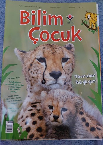  Beden Renk Bilim Çocuk Dergi Seti 17 adet