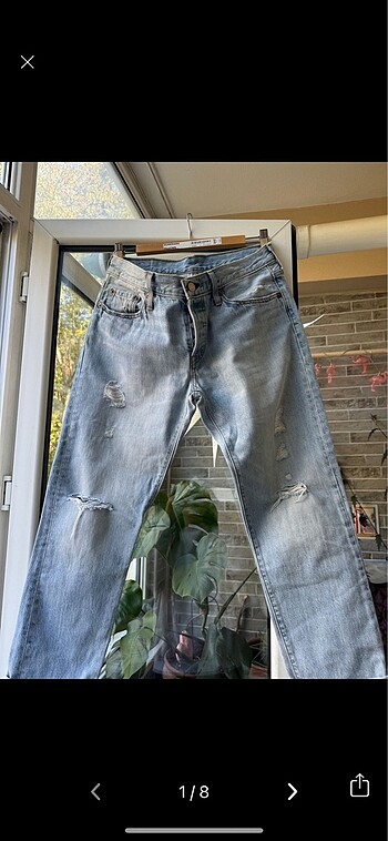 levis 501