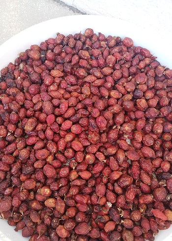 Kurutulmuş Kırmızı Kuşburnu Taneleri