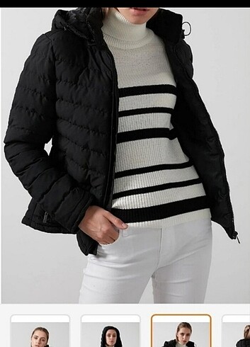 xl Beden MONTt
