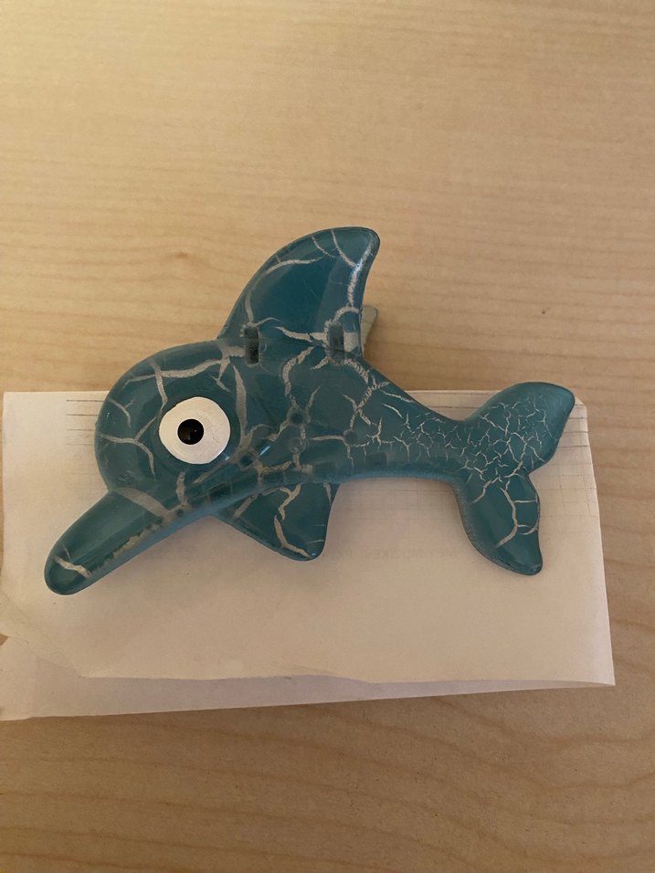 Renkli Turkuaz Yunus Toka - Görsel 4