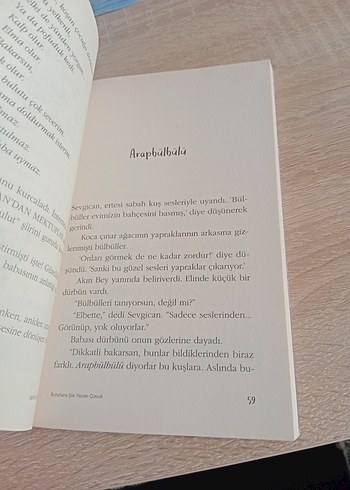 Bulutlara Şiir Yazan Çocuk - Behiç Ak