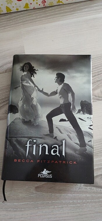 Final hush hush serisinin 4.kitabı