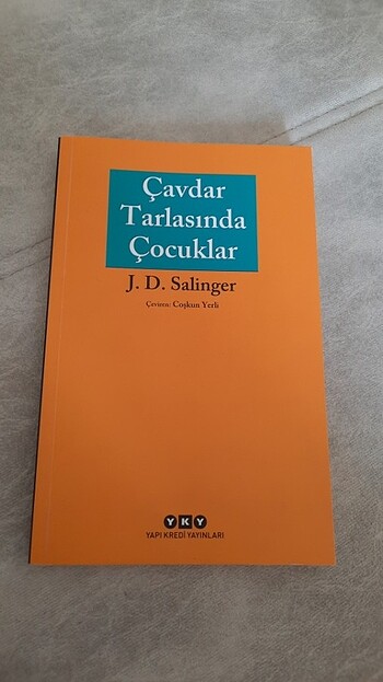 j.d. salinger çavdar tarlasında çocuklar 