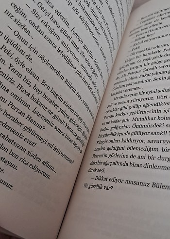 Yıkık Gönüller - Hadiye Hümeyra - Görsel 2