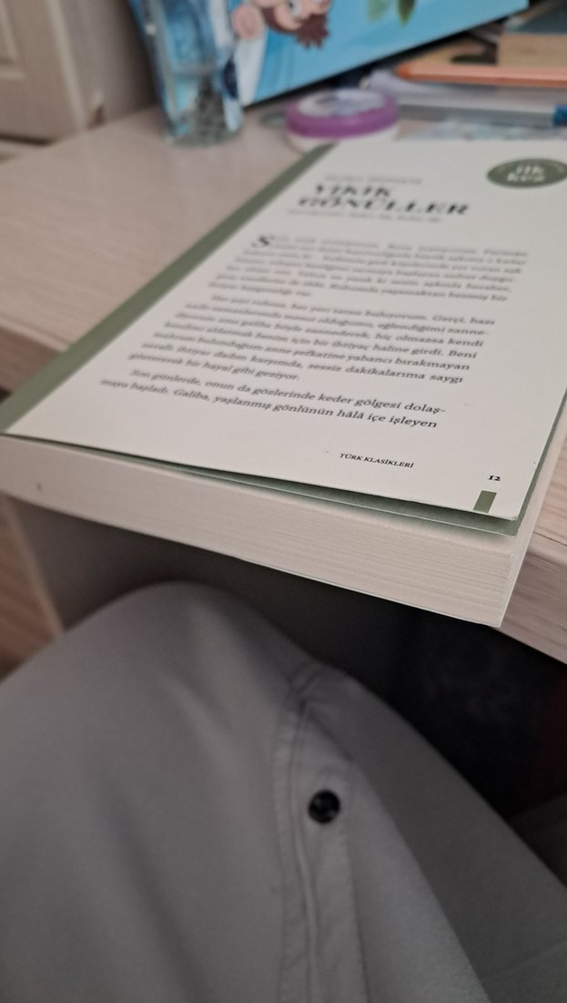 Yıkık Gönüller - Hadiye Hümeyra - Görsel 3