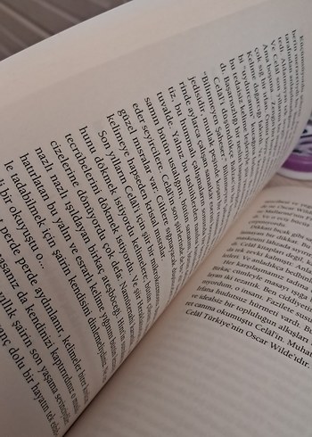 Cemil Meriç Kitapları Seti - Uygarlığa Umrandan, Bu Ülke - Görsel 3