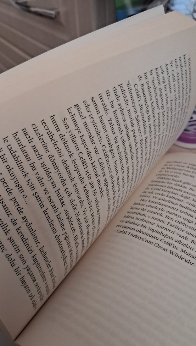 Cemil Meriç Kitapları Seti - Uygarlığa Umrandan, Bu Ülke - Görsel 3