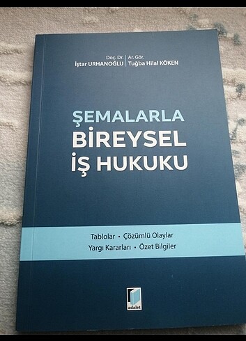 şemalarla bireysel iş hukuku 