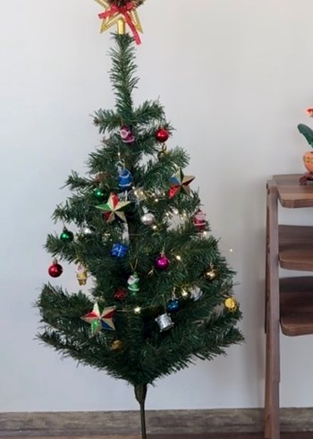 Yılbaşı ağacı çam