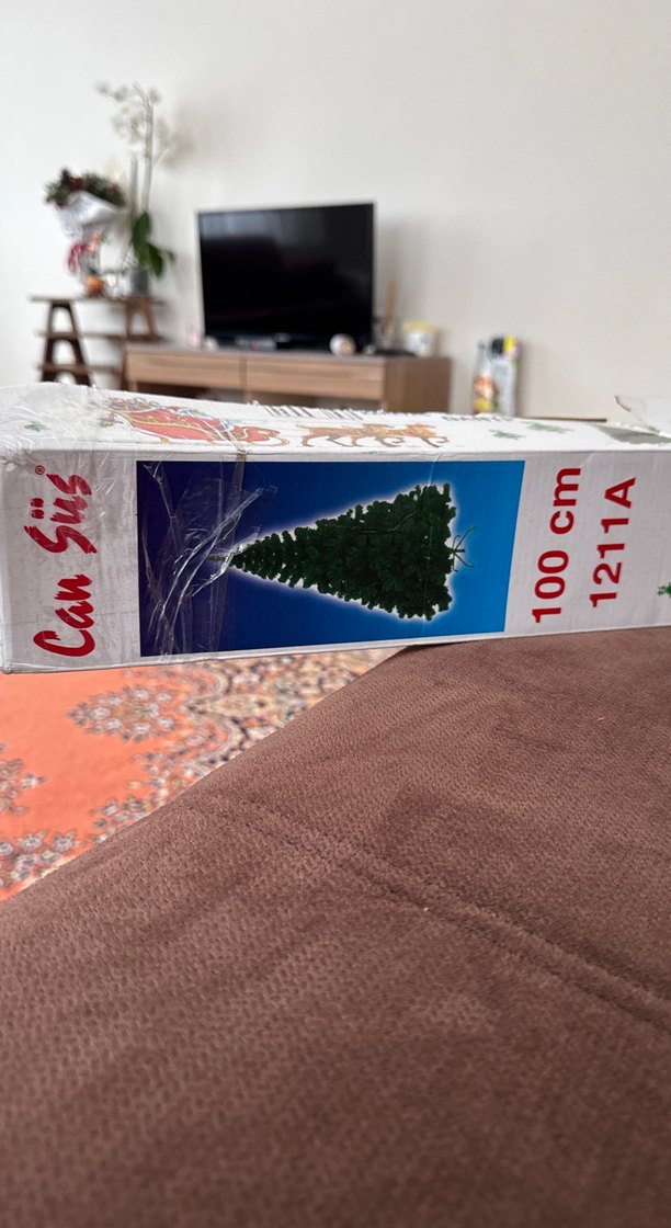 Yılbaşı ağacı çam - Görsel 2