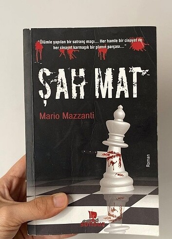 Şah mat romanı