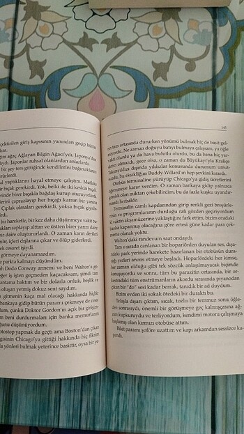 Beden Sırça Fanus ? Sylvia Plath