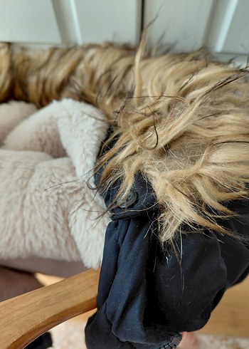 KADIN KIZ ÇOCUK LCW MARKA PARKA MONT - Görsel 5