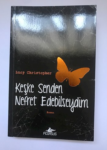 Keşke Senden Nefret Edebilseydim - Lucy Christopher
