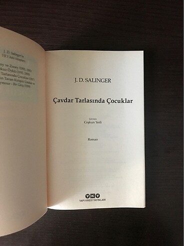  Çavdar Tarlasında Çocuklar