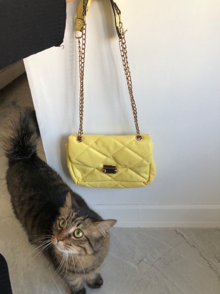 Sarı Deri Kadın Çanta Tokalı Zincirli - Görsel 4