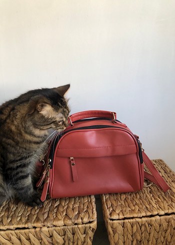 Kahverengi Deri Kadın Çanta - Görsel 4