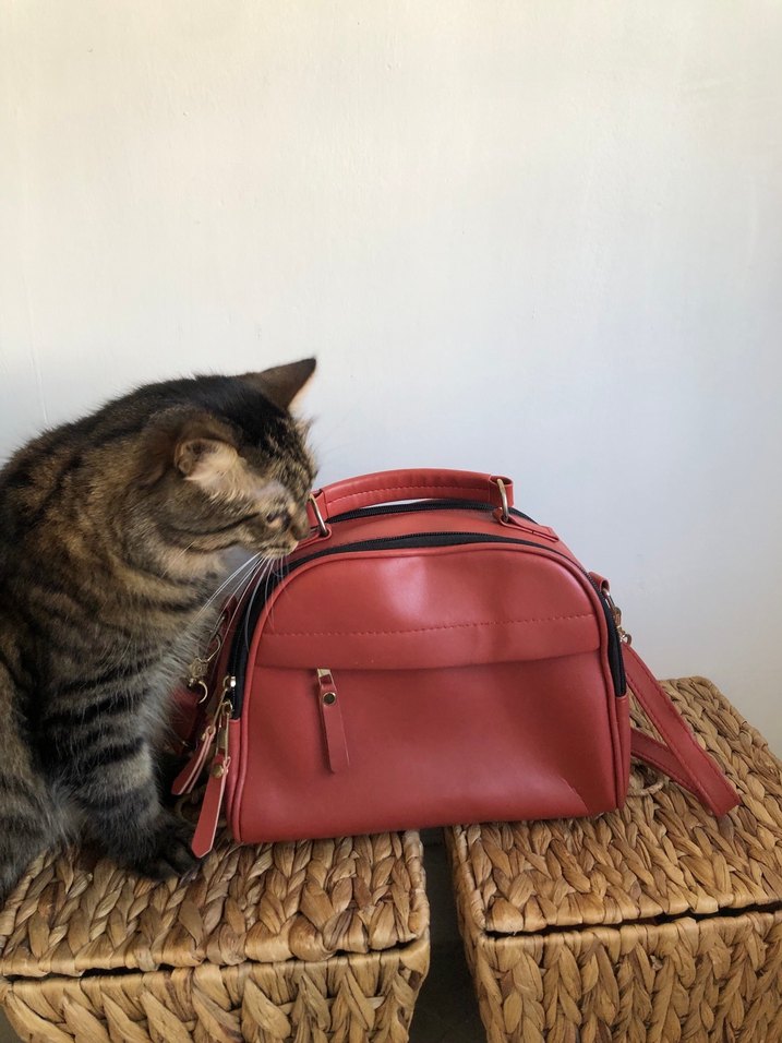 Kahverengi Deri Kadın Çanta - Görsel 4