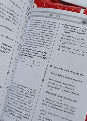 Beden Renk Konularına Göre düzenlenen dil bilgisi çıkmış sorular