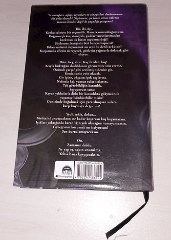 Orion - Almina Taner