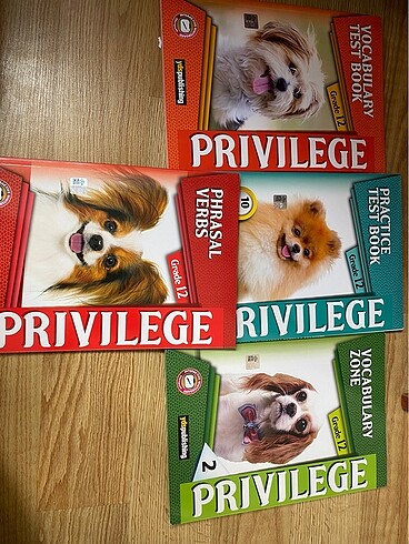 YDS publishing Privilege serisi YDT