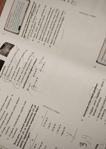 Beden Renk TYT Biyoloji Soru Bankası - Miray Yayınları