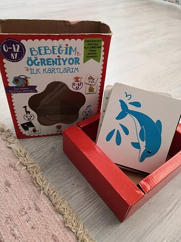 Zeka kartları sincap kitap