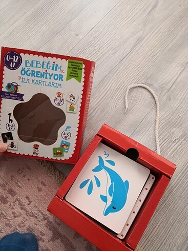 Beden Zeka kartları sincap kitap