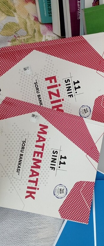 11. sınıf matematik fizik